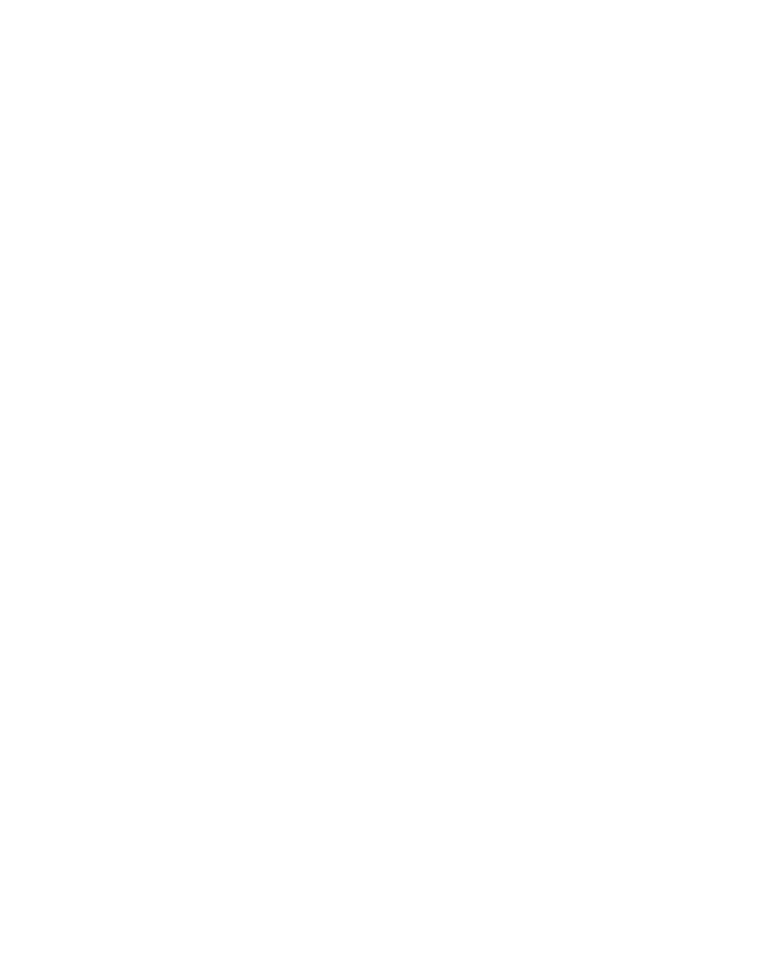 Persona